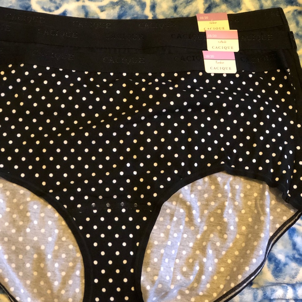 Cacique full brief panty